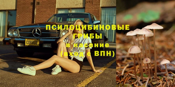 ALPHA PVP Алексин